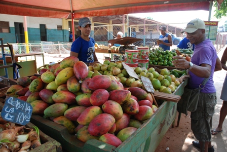 Votos con el pulgar 00 Votos con el pulgar 00