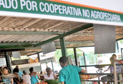 Cooperativas no agropecuarias en Cuba… ¿cómo marcha la experiencia?