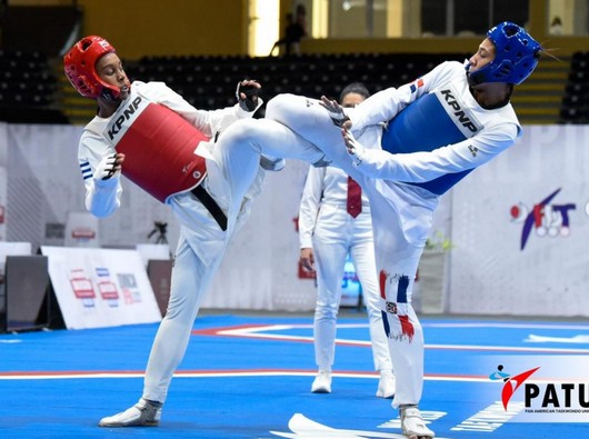 Taekwondo arletys