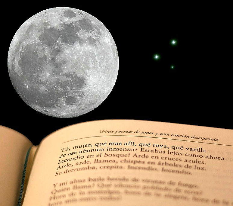 noche de los libros noche de los libros