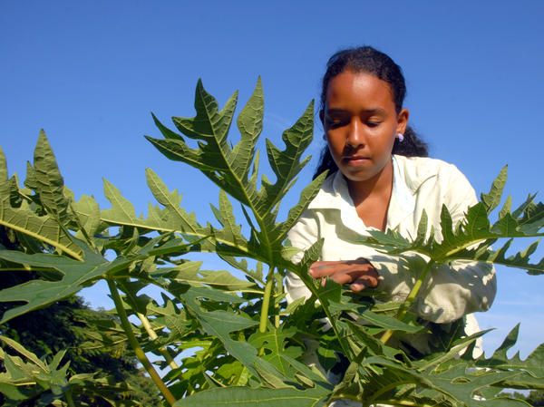 Mujer Rural - Portada Mujer Rural - Portada