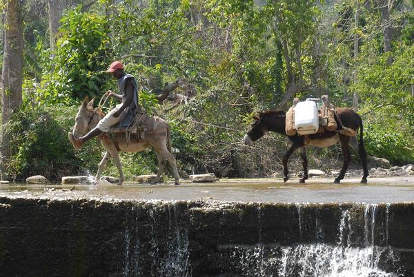 Aguatero de Matayegua 01 Aguatero de Matayegua 01