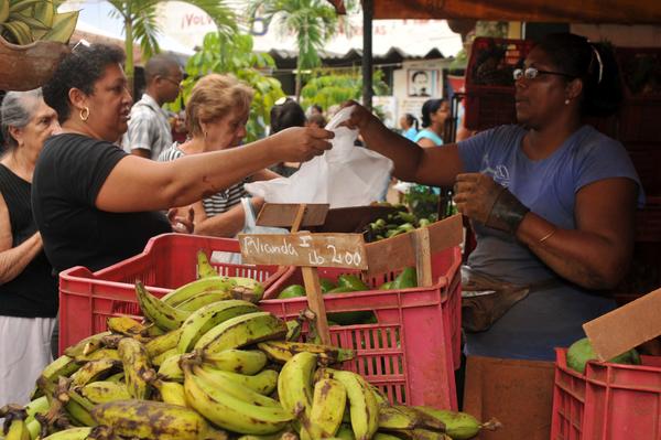 Cooperativa No Agropecuaria "El Sol" 000 Cooperativa No Agropecuaria "El Sol" 000