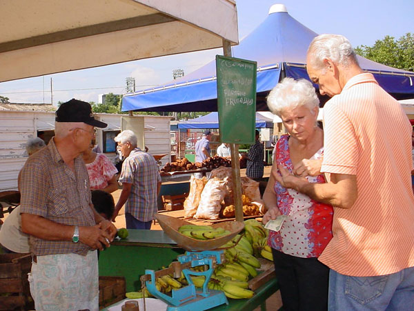 Transformaciones económicas Transformaciones económicas