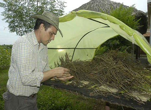 Fernando Funes agrónomo Fernando Funes agrónomo