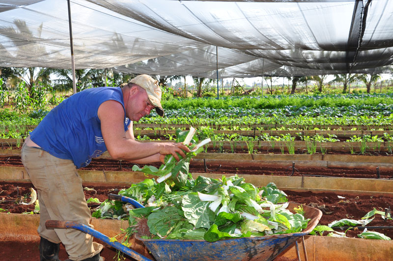 CPA Ubaldo Díaz CPA Ubaldo Díaz