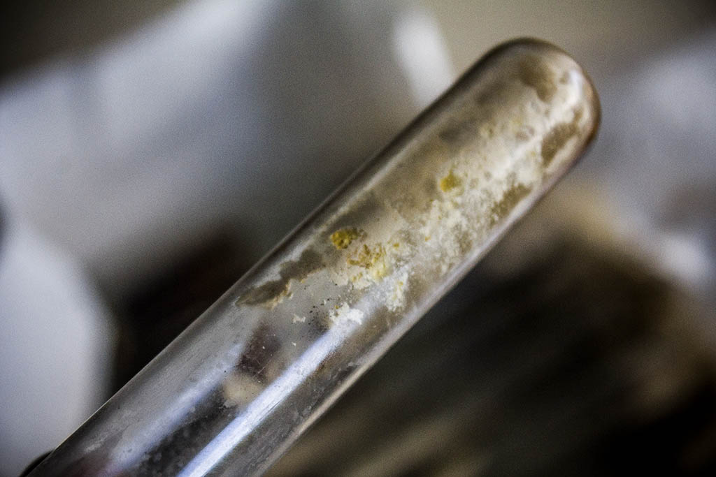 Ciencia en Mayabeque Ciencia en Mayabeque