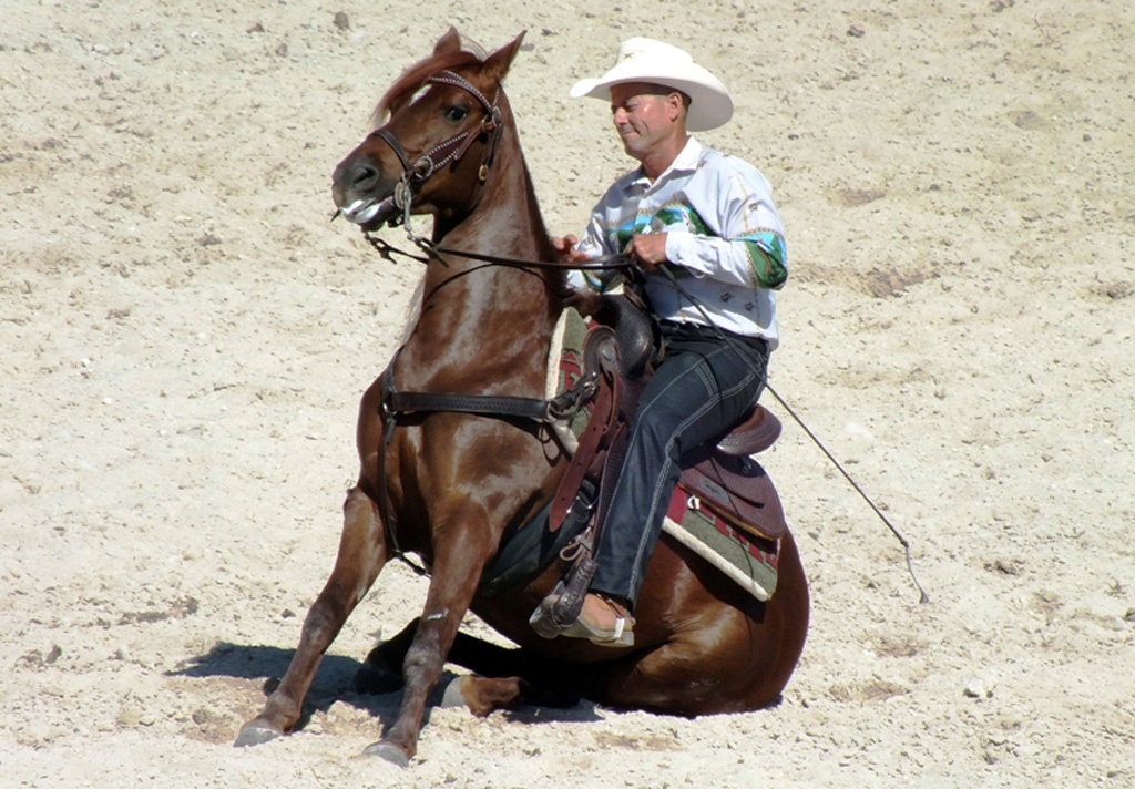 Competencias de rodeo 04