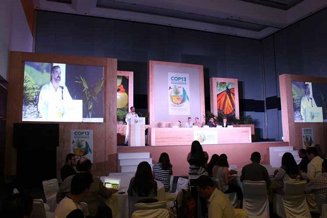 Conferencia de las Partes-COP13-México Conferencia de las Partes-COP13-México