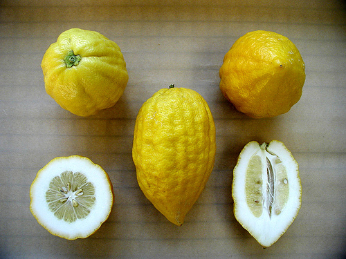 Citrus medica-Fruta
