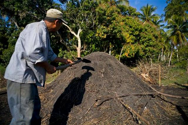 Exportación carbón de marabú Exportación carbón de marabú