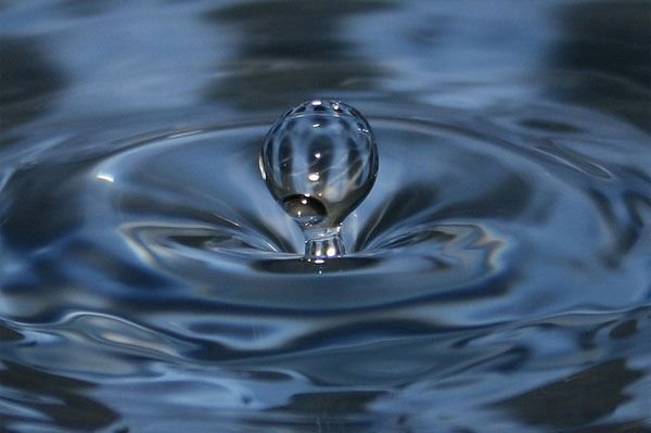 Sed-Día mundial del agua Sed-Día mundial del agua