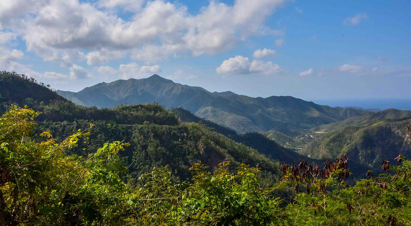 Imágenes desde La Farola Imágenes desde La Farola