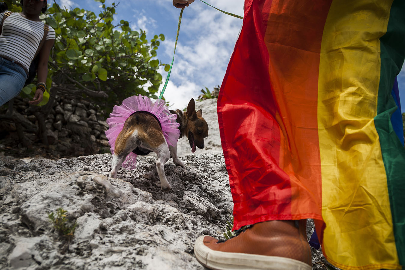 Conga vs Homofobia 2017 Conga vs Homofobia 2017