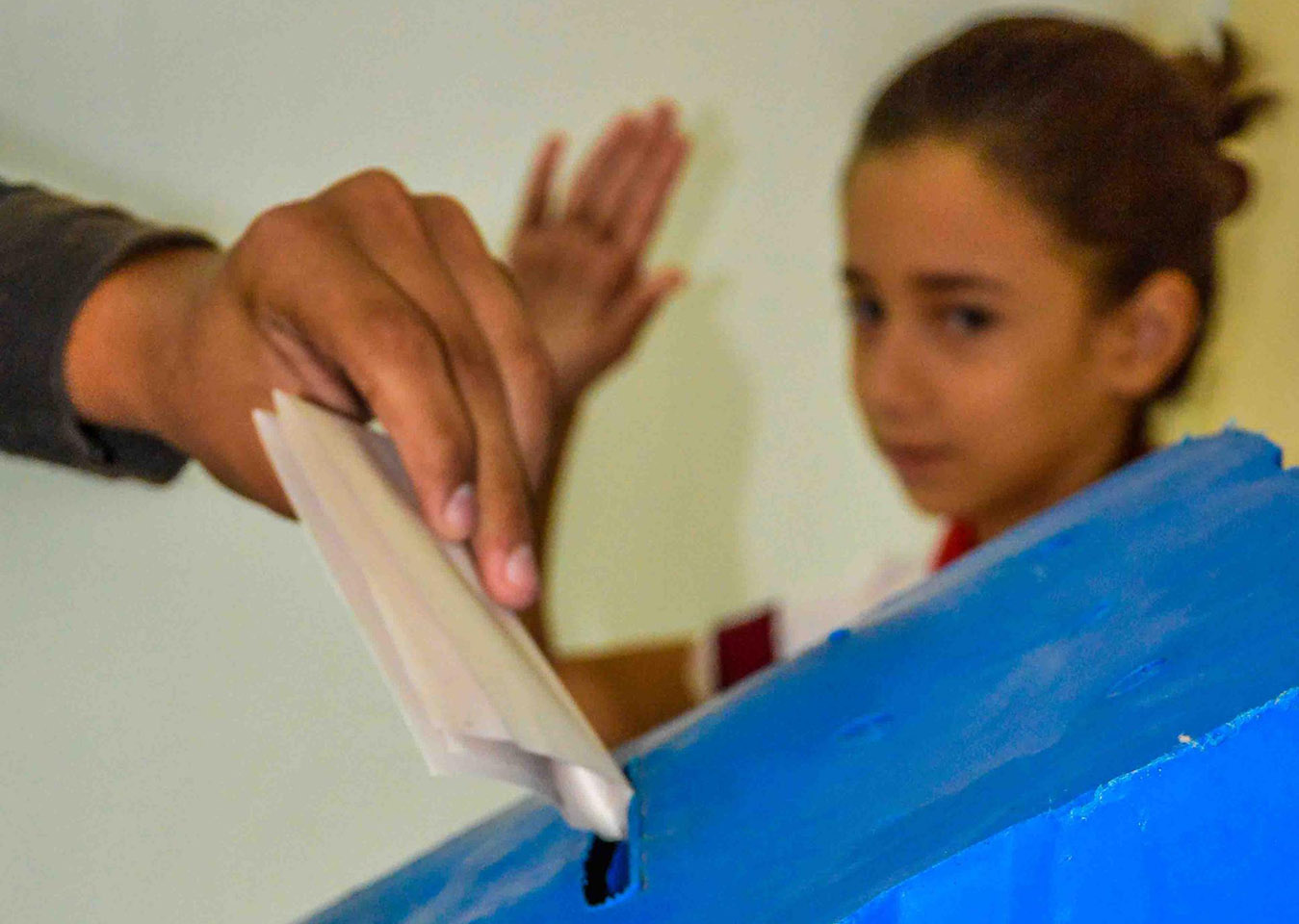 Boleta electoral: opciones para votar
