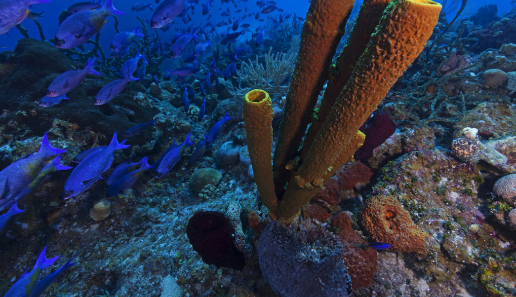 Se amarra el turismo en Cuba Se amarra el turismo en Cuba