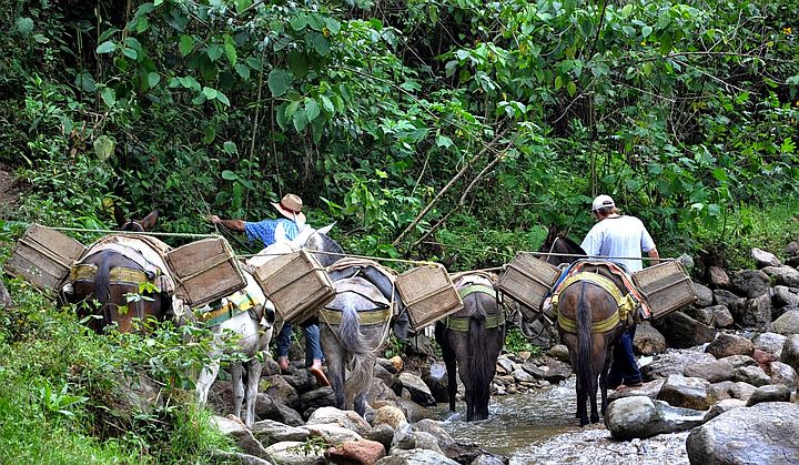 Arrieros somos Arrieros somos