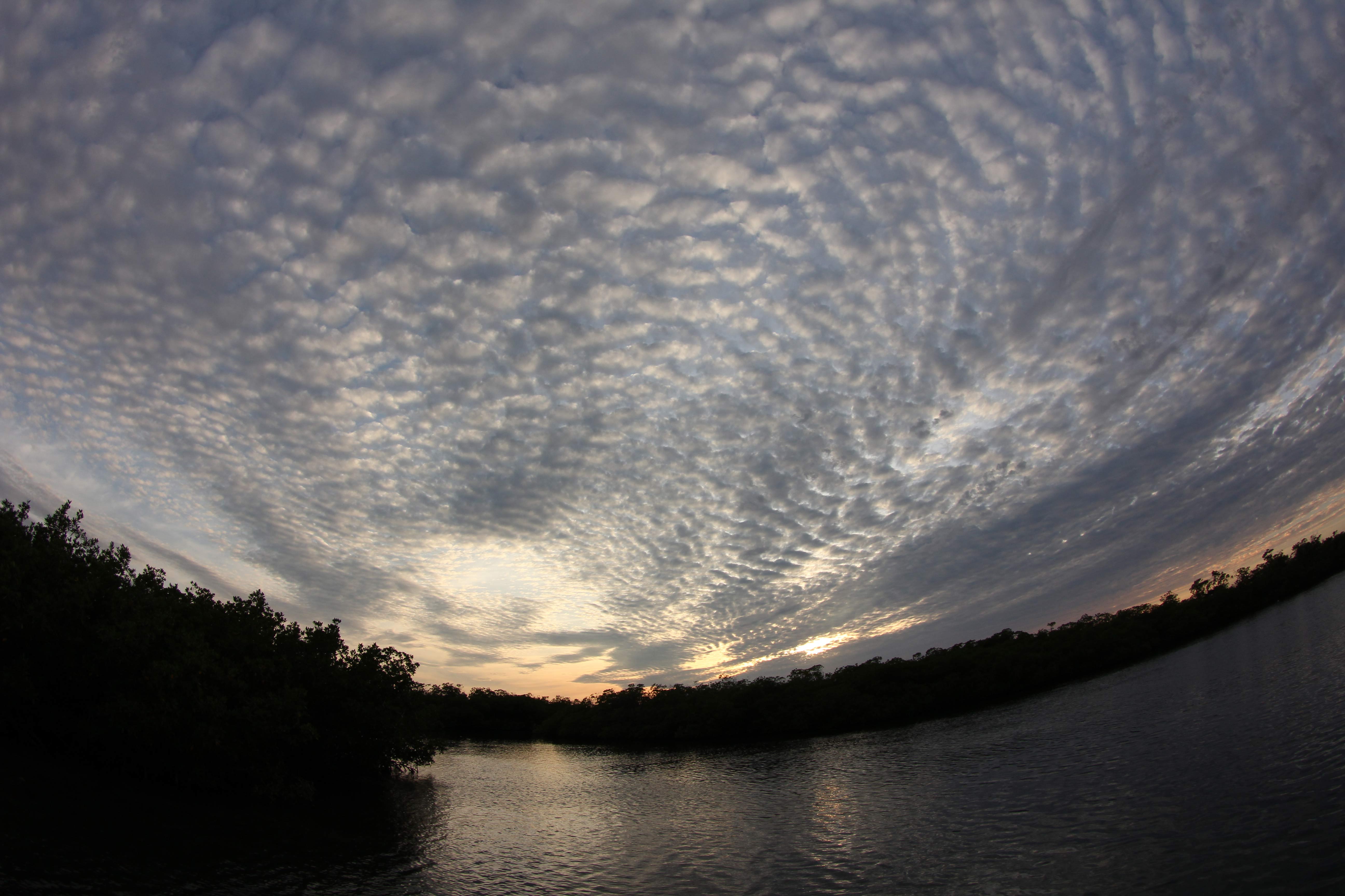 Camagüey Premio 1 Camagüey Premio 1