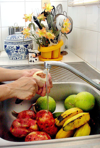 foto1 verano foto1 verano