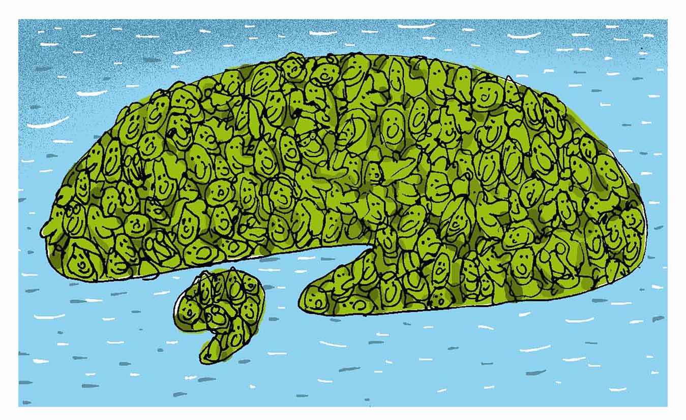 Ya está el proyecto Ya está el proyecto