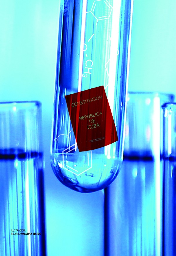 Constitución laboratorio Constitución laboratorio