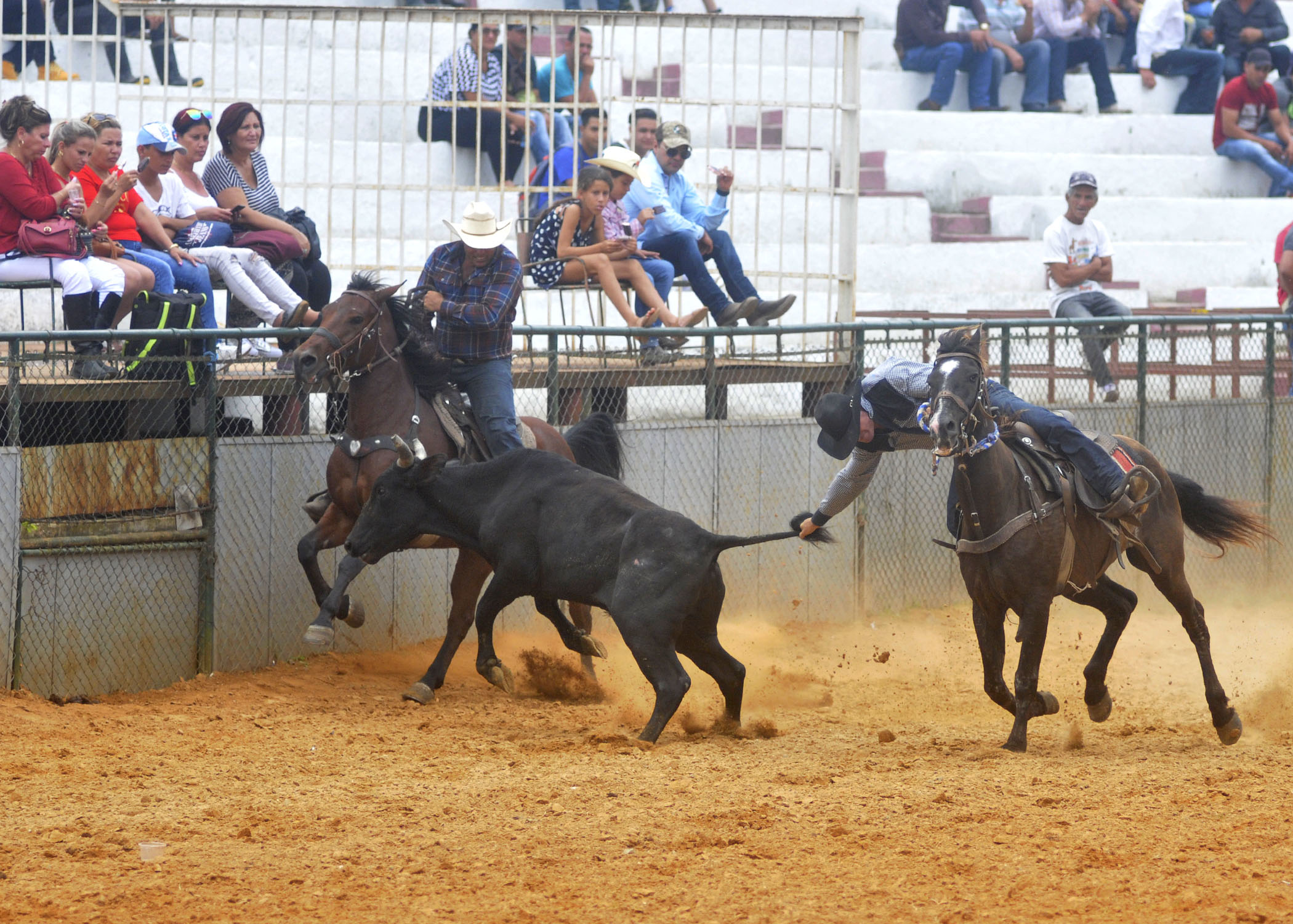 Feria Agropecuaria-La Habana5