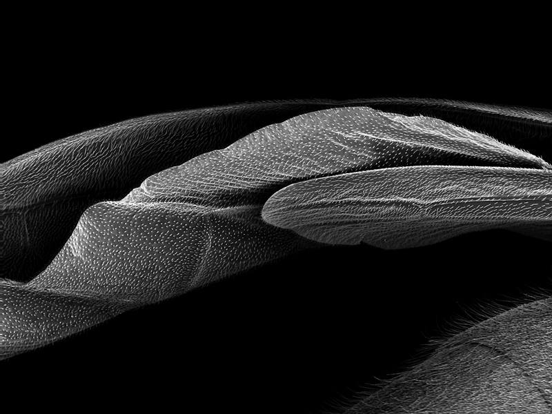 Exposición Soleils Noirs-Yves Trémorin-Bienal de La Habana Exposición Soleils Noirs-Yves Trémorin-Bienal de La Habana