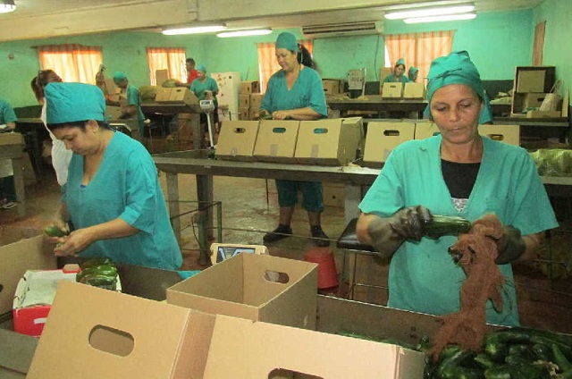 centro-beneficio-empresa-agroindustrial-ceballos centro-beneficio-empresa-agroindustrial-ceballos