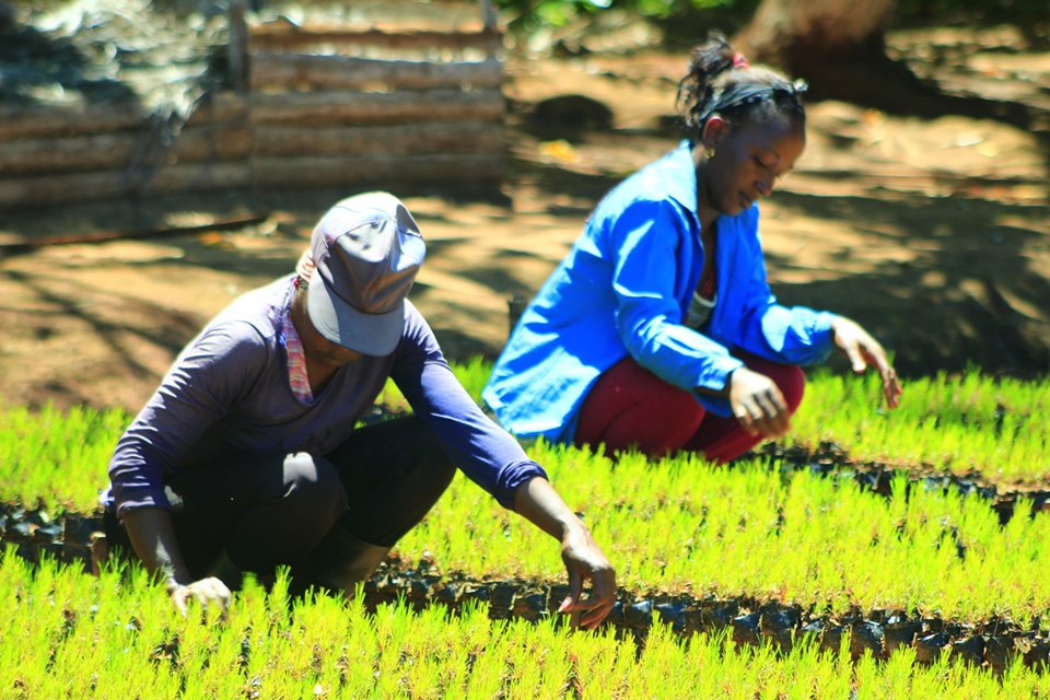 Proyecto Conectando Paisajes 4 Proyecto Conectando Paisajes 4