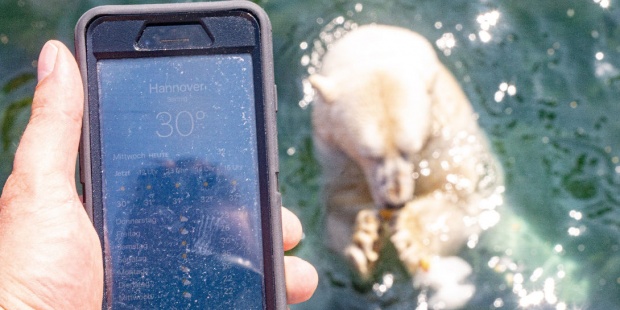 Ola de calor -Alemania Ola de calor -Alemania