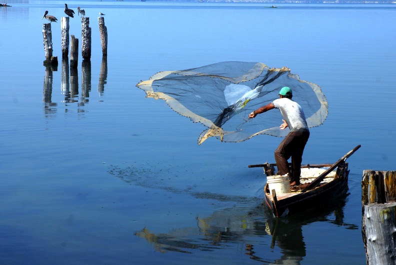 Proyecto de Ley de Pesca-Cienfuegos