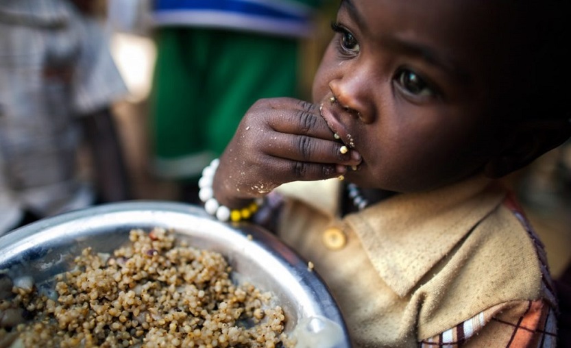 Hambre en el mundo-2019 Hambre en el mundo-2019