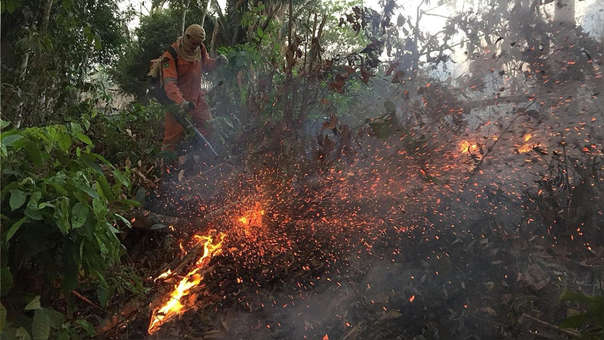 Incendios Amazonía 2019 Incendios Amazonía 2019