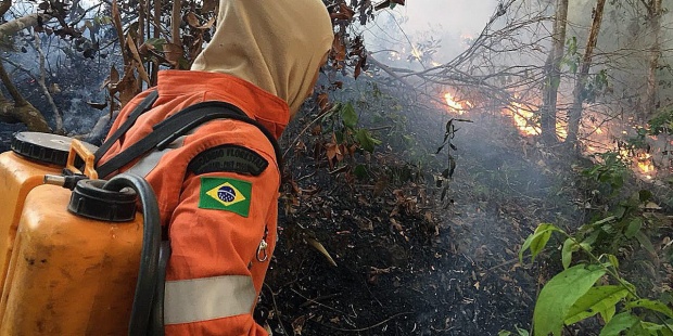 Amazonia 4 Amazonia 4