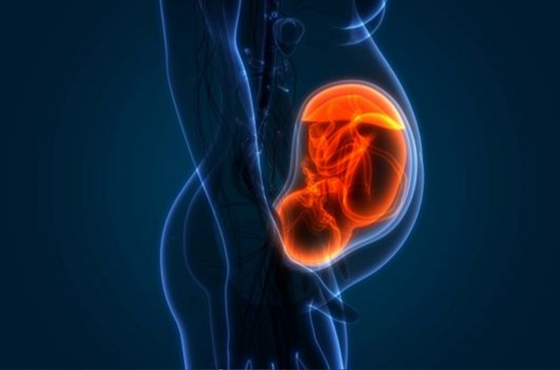 Contaminación- embarazadas Contaminación- embarazadas