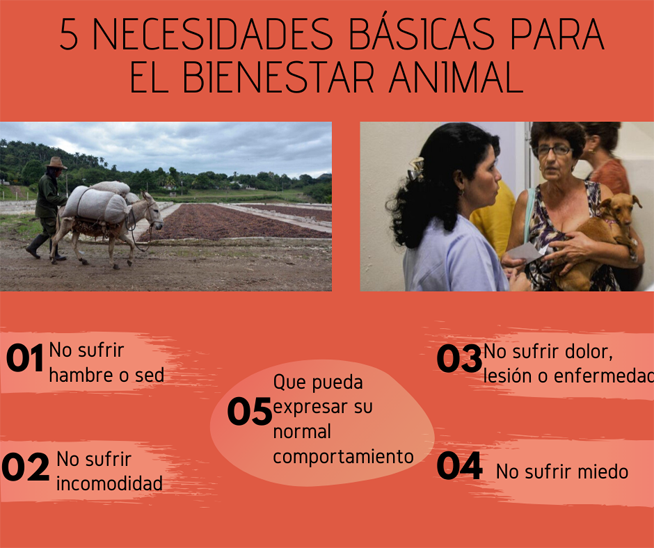 Cuba-Ley de bienestar animal