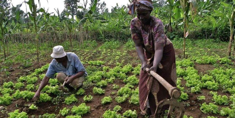 África, entre la tierra y la tierra África, entre la tierra y la tierra