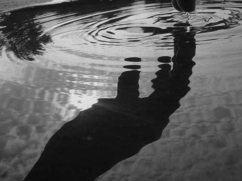 Sutileza-reflejo del alma Sutileza-reflejo del alma