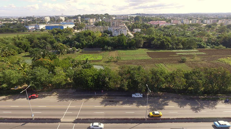 Organoponicos Habana 2 Organoponicos Habana 2