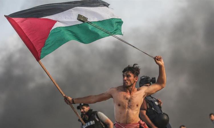 Palestina Lucha Palestina Lucha
