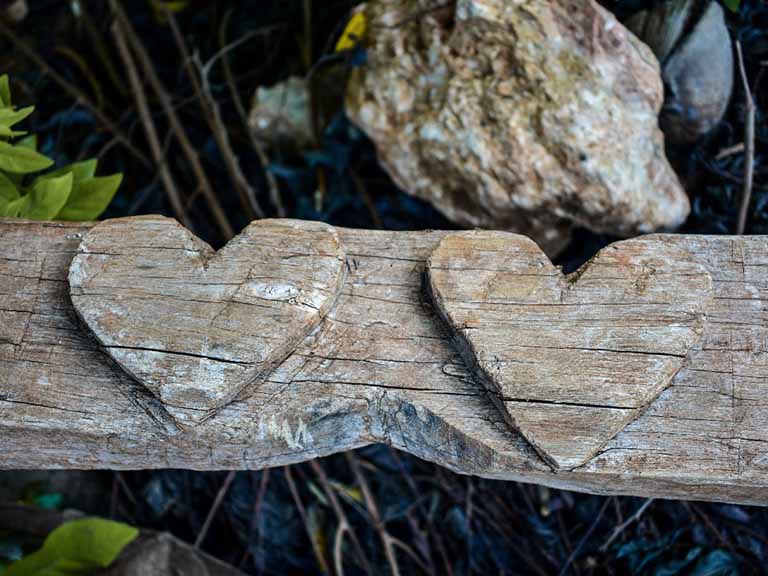 Dia del Amor Dia del Amor