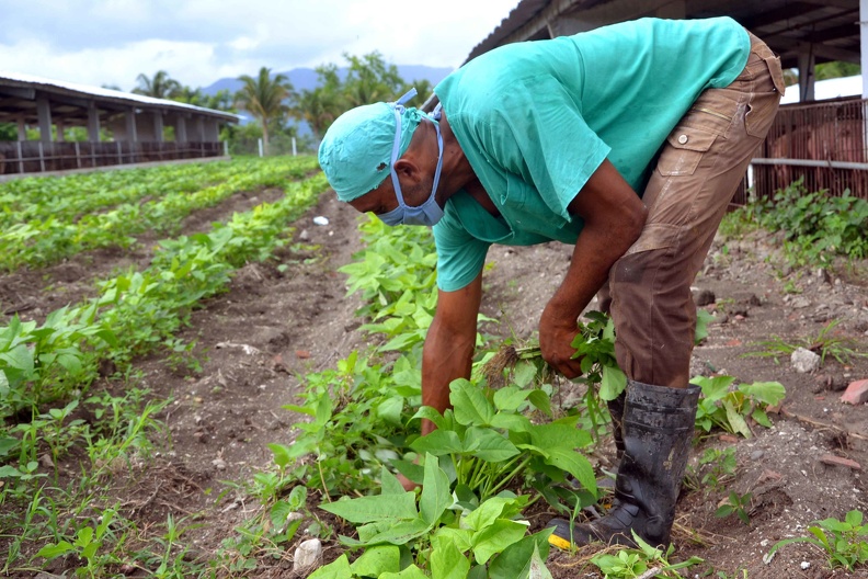 Trabajo COVID Trabajo COVID