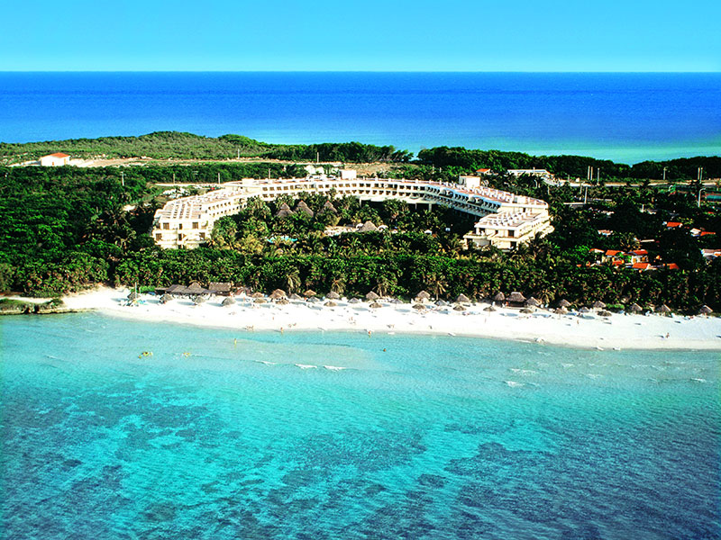 Sol Palmeras Sol Palmeras