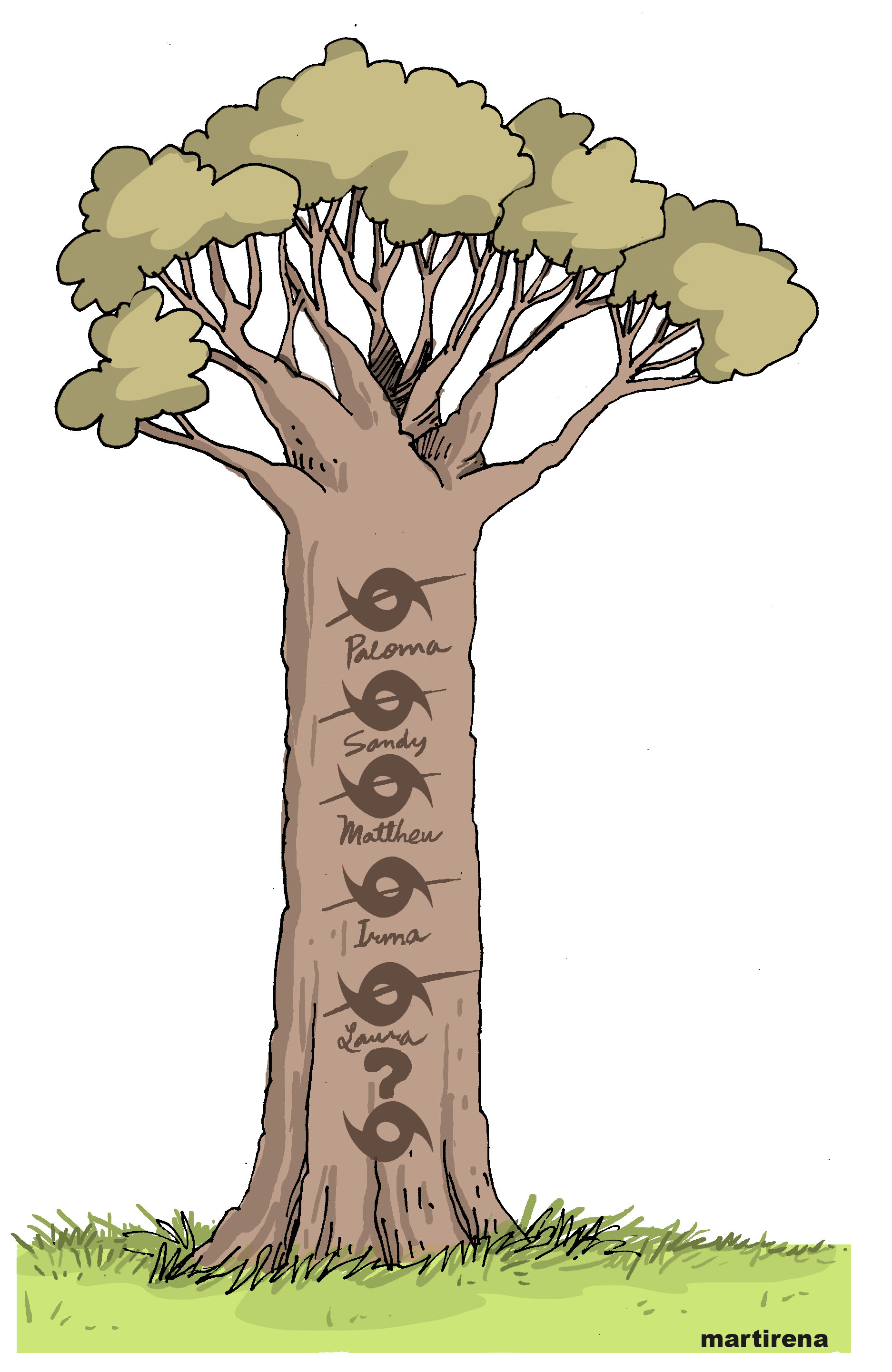 Arboles ciclones Arboles ciclones