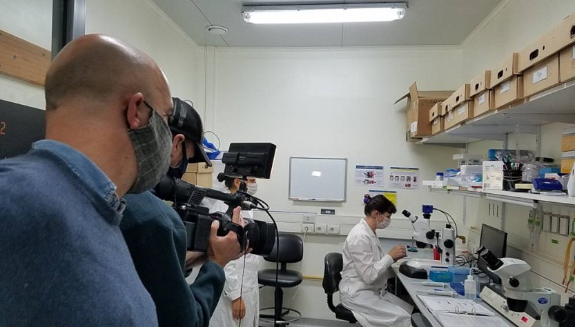 Covid19-participación-distintas ciencias-especialistas Covid19-participación-distintas ciencias-especialistas