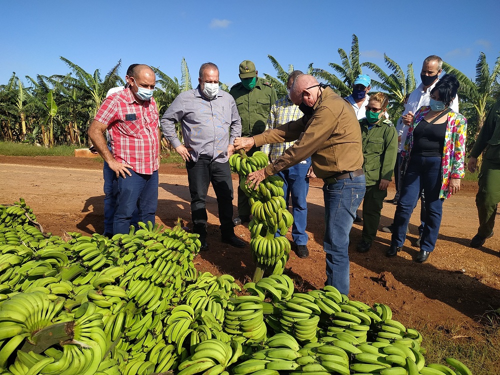 eta-Marrero eta-Marrero