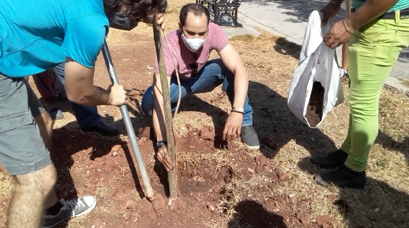 Siembra de árboles-Parque Villalón-Denys Ramos Siembra de árboles-Parque Villalón-Denys Ramos