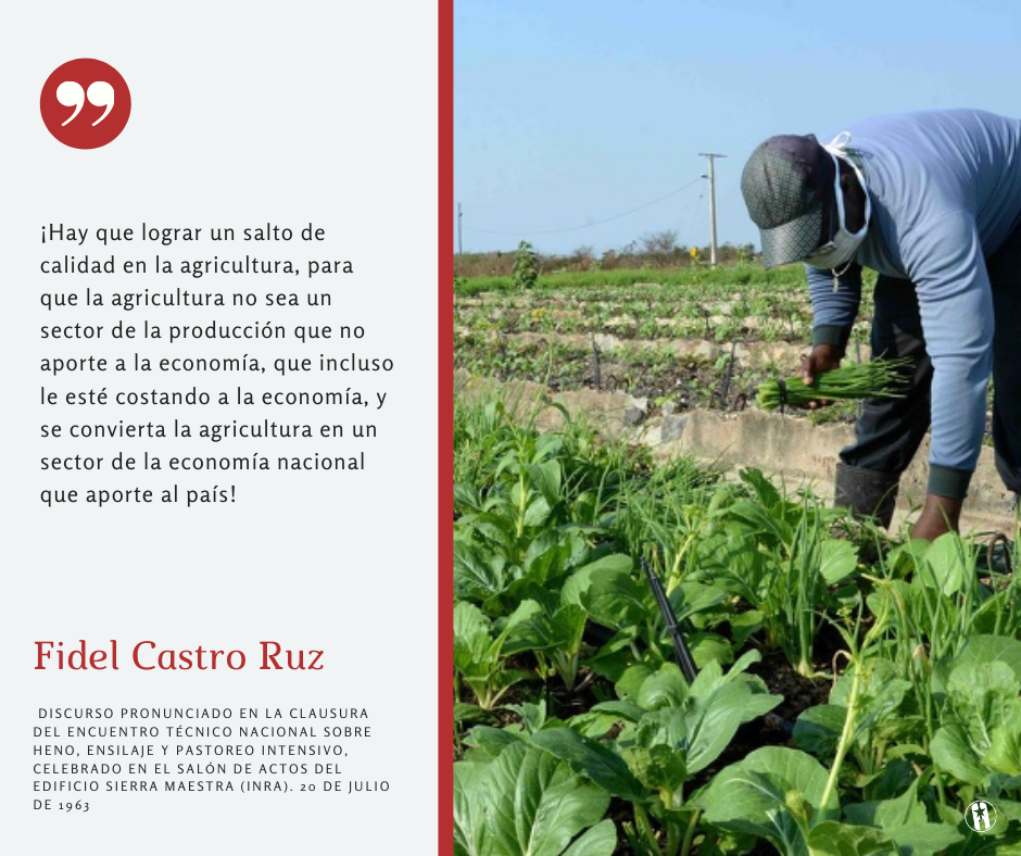 Frase Fidel Agricultura Cuba
