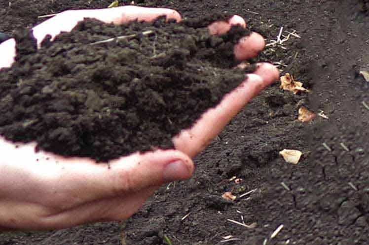 2001 Suelos 2001 Suelos