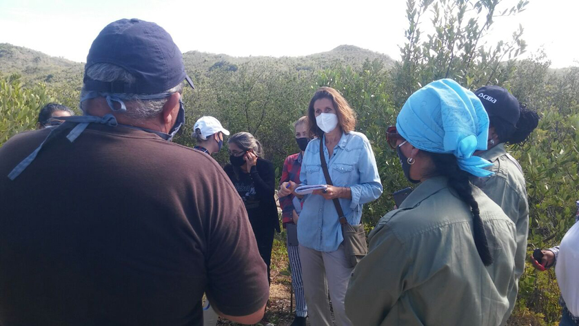 Delegación de la Unión Europea-Cambio climático Delegación de la Unión Europea-Cambio climático